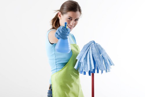 Professional stain removal for carpets in Tufnell Park homes