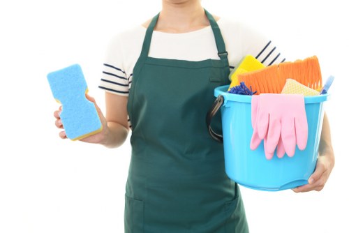 Professional move in cleaning service for a Tufnell Park home before unpacking