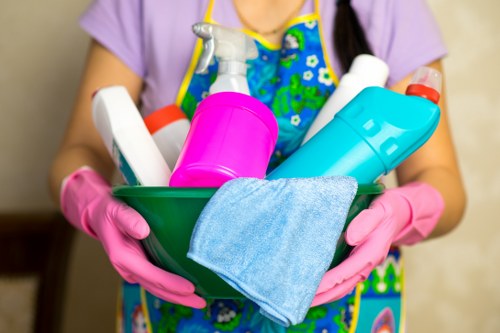 Regular cleaning service for homes in Tufnell Park