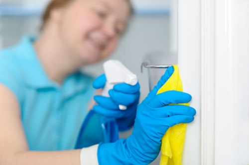 Gutter cleaning service for Tufnell Park residential properties