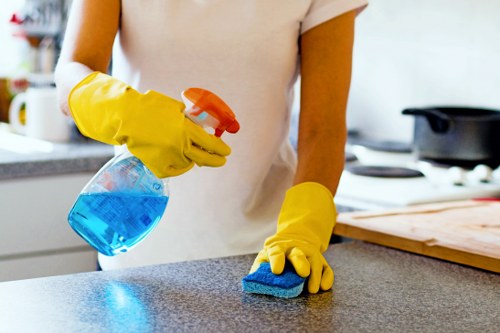 Detailed bathroom cleaning during a move out clean in Tufnellpark