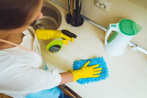 Regular house cleaning service for households in Tufnell Park