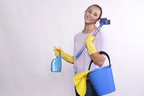 Professional cleaning service for Airbnb hosts and property managers