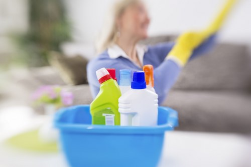 Professional deep cleaning of bathroom fixtures and tiles