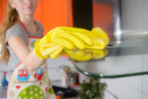 Local cleaner working in a period home near Tufnell Park