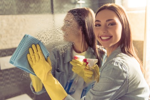 Deep cleaning solution for pet stains on rugs and upholstery