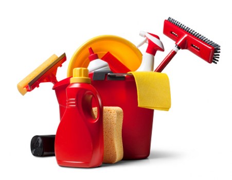 Staff member reviewing health and safety procedures before work